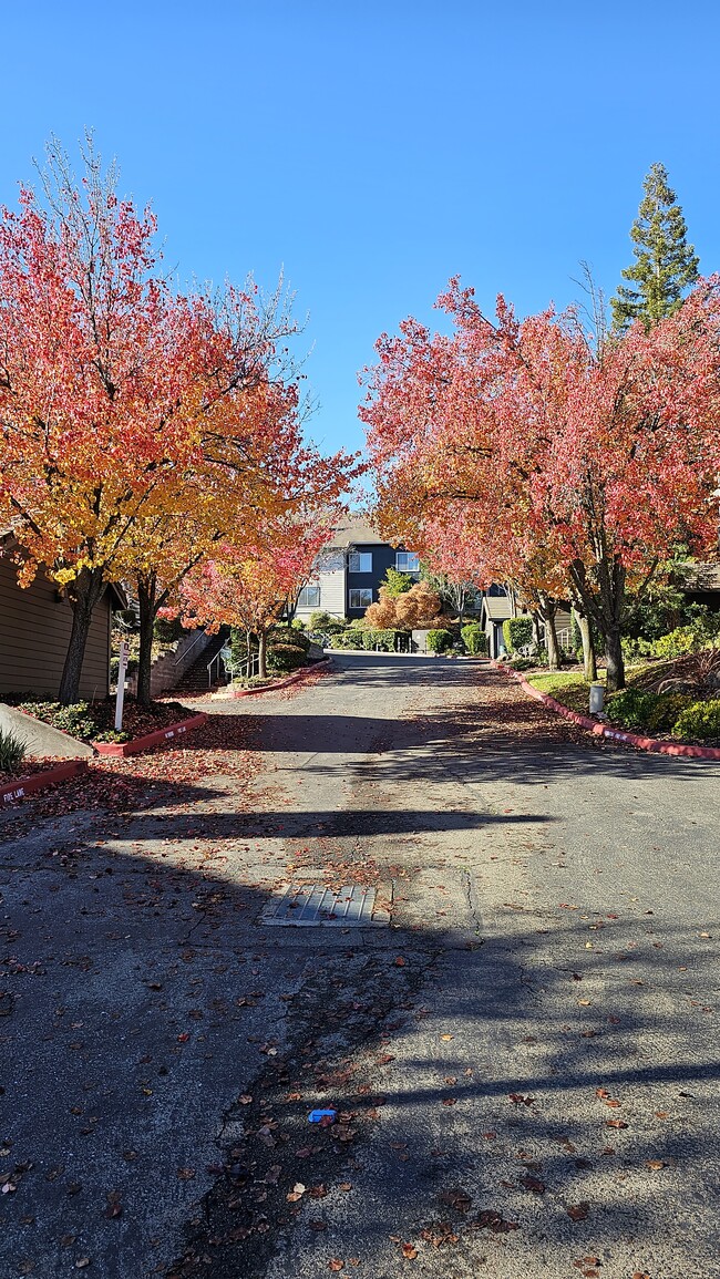 El Dorado Village in El Dorado Hills, CA - Foto de edificio - Building Photo