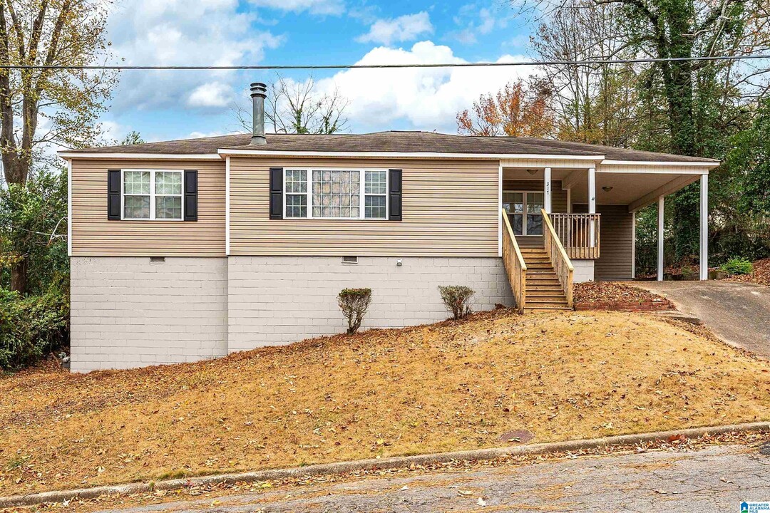 317 Joan Ave in Birmingham, AL - Building Photo