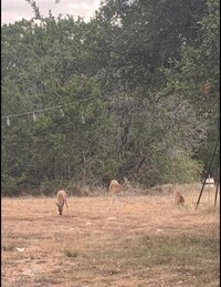 501 Owl Hollow Rd photo'