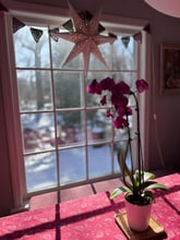 1223 Dartmouth Rd in Madison, WI - Building Photo - Building Photo