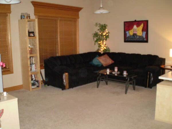 209 Stephen St, Unit B in Lemont, IL - Building Photo