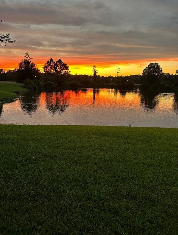 property at 531 Hedgewood Dr