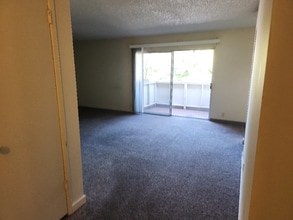 4260 Clayton Rd in Concord, CA - Building Photo - Building Photo