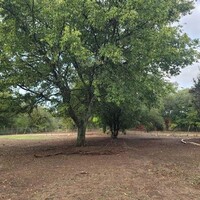 620 Higgins Rd in Waxahachie, TX - Building Photo - Building Photo