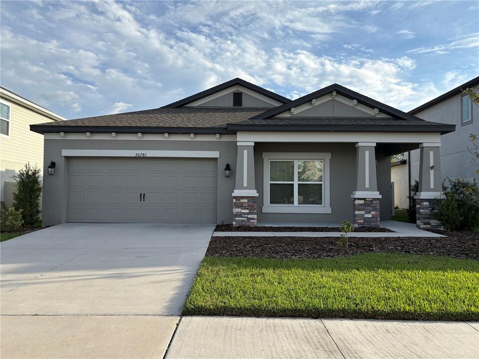 30781 Parrot Reef Ct in Wesley Chapel, FL - Foto de edificio