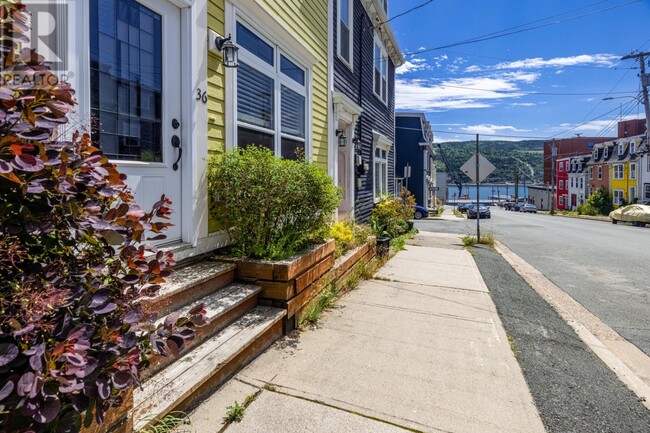 36 Cochrane St in St John's, NL - Building Photo - Building Photo