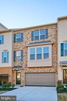 43428 Robey Sq in Ashburn, VA - Building Photo