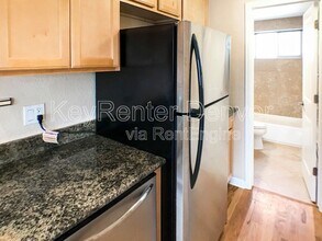 529 N Washington St in Denver, CO - Building Photo - Building Photo