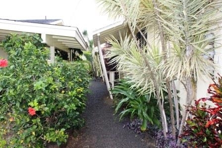 2932 Kress St in Lihue, HI - Building Photo - Building Photo