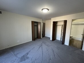 245 E Main St in Lake Zurich, IL - Building Photo - Building Photo