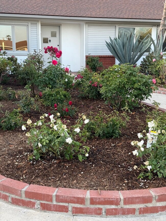 property at 6204 Avenida Ganso