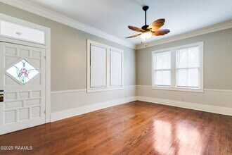 201 S Orange St in Lafayette, LA - Building Photo - Building Photo