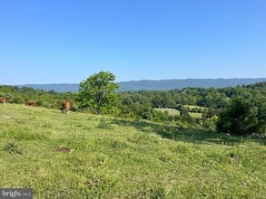 2954 Battlefield Rd in Fishers Hill, VA - Building Photo - Building Photo