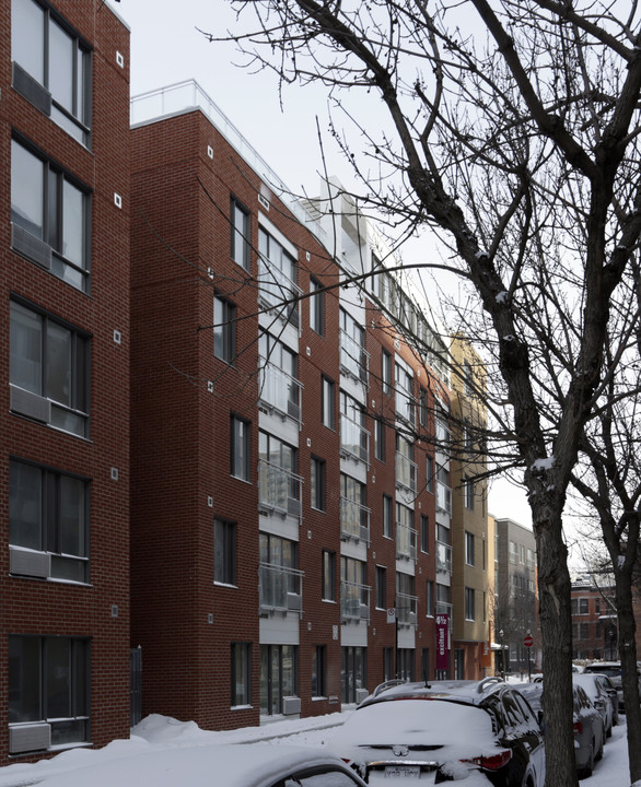 Le 1248 Condos Urbains in Montréal, QC - Building Photo