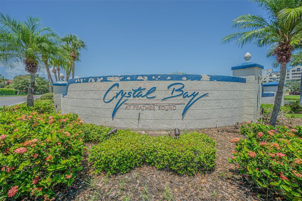 2333 Feather Sound Dr in Clearwater, FL - Building Photo