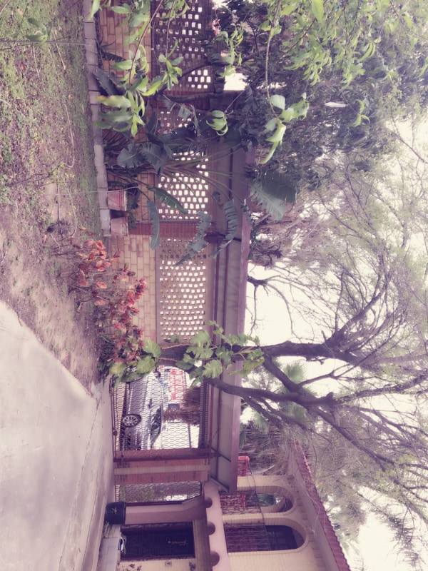 100 N Palm Dr in Pharr, TX - Foto de edificio - Building Photo