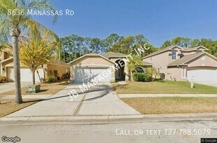 8636 Manassas Rd in Tampa, FL - Building Photo