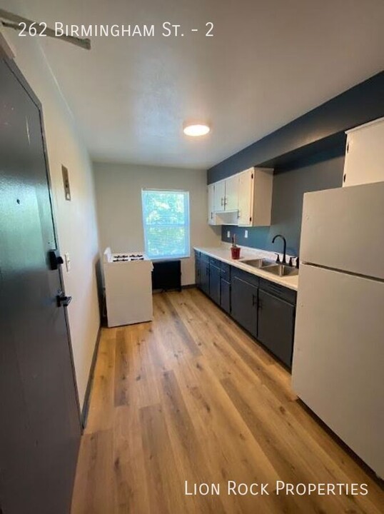 262 Birmingham St in St. Paul, MN - Foto de edificio
