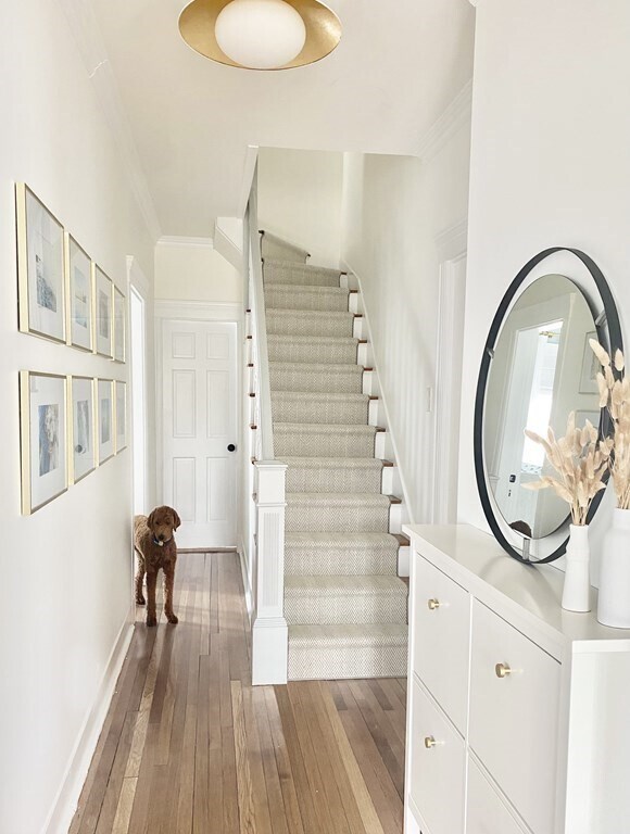 56 Granite Ave Apartments and Nearby Boston Apartments For Rent