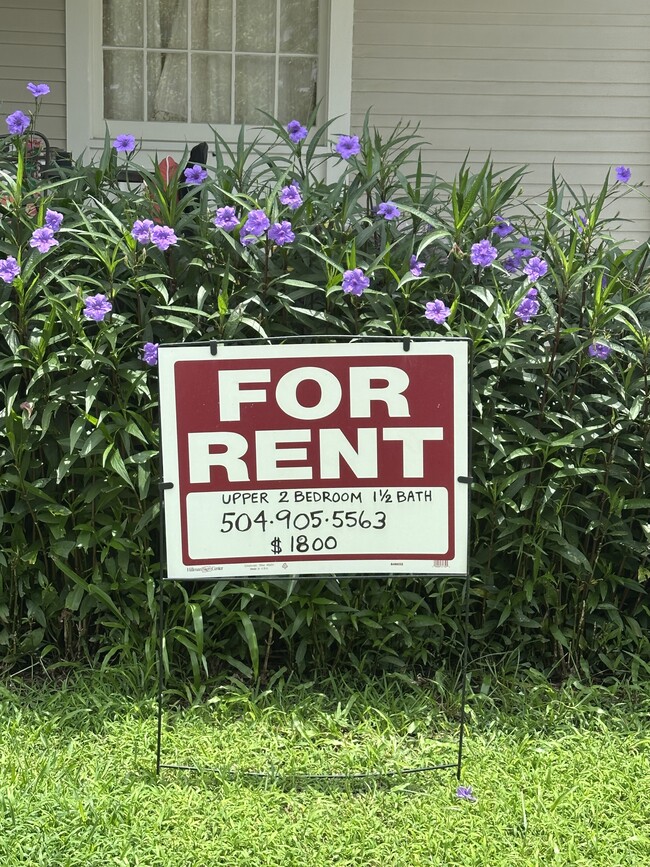 2607 Calhoun St, Unit 2607 Calhoun St