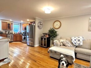 494 E 3rd St, Unit 1 in Boston, MA - Building Photo - Building Photo