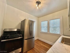 1319 Lakewood Ave in Lakewood, OH - Building Photo - Building Photo