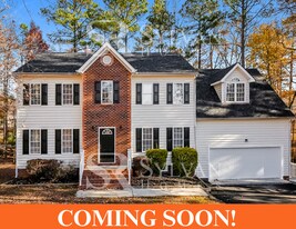 14700 Blue Creek Pl in South Chesterfield, VA - Building Photo