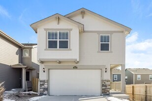 8843 Blue Feather Lp in Colorado Springs, CO - Building Photo