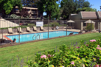 Lincoln Glen Apartments in Sunnyvale, CA - Building Photo - Building Photo