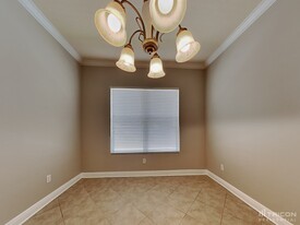 30656 Palmerston Pl in Wesley Chapel, FL - Building Photo - Building Photo