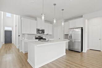 209 Banyon Dr in Liberty Hill, TX - Building Photo - Building Photo