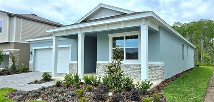 12914 Promise Pl in Orlando, FL - Building Photo - Building Photo