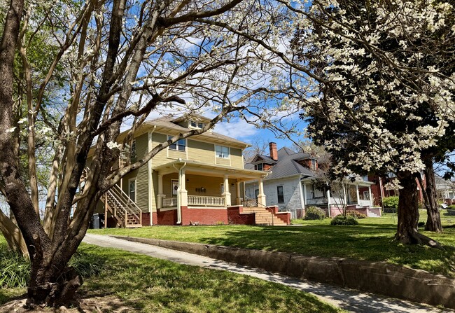 401 E Scott Ave, Unit 401-3