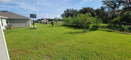 1971 Cricket Cradle Dr in Kissimmee, FL - Building Photo - Building Photo