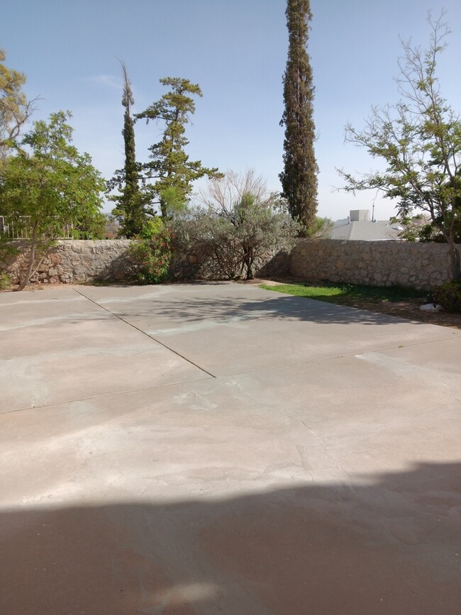 309 Skyway Ln in El Paso, TX - Building Photo - Building Photo