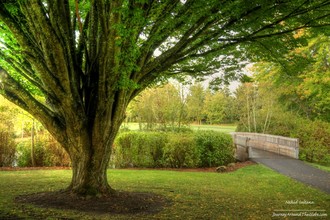 Park Lake in Beaverton, OR - Building Photo - Building Photo