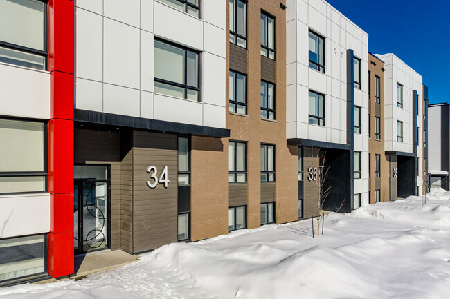 34-38 Marjorie-D.-Shackleton Rue in Gatineau, QC - Building Photo - Building Photo