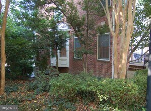 2404 13th Ct N in Arlington, VA - Building Photo - Building Photo
