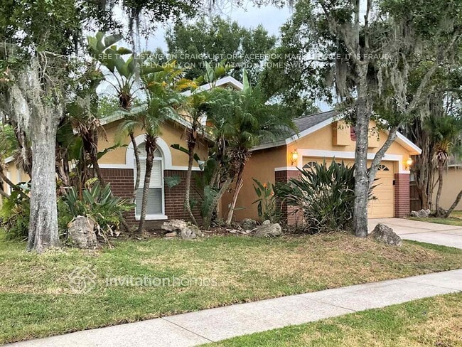 14911 Rocky Ledge Dr in Tampa, FL - Building Photo - Building Photo