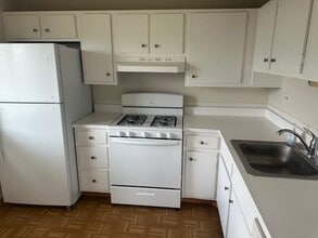 1101 Perth Dr in Schaumburg, IL - Building Photo - Building Photo