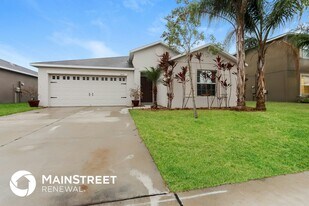 10121 Crested Fringe Dr in Riverview, FL - Building Photo