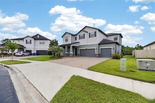 2905 Hilliard Dr in Wesley Chapel, FL - Building Photo