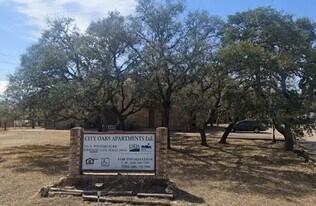 301 N Winters Furr in Johnson City, TX - Building Photo