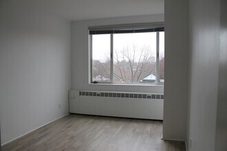 29 Concord Ave in Cambridge, MA - Building Photo - Building Photo