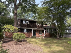 41 Feather Ln in Old Tappan, NJ - Building Photo