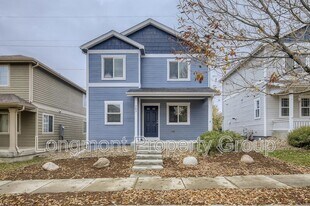 303 Sweet Valley Ct in Longmont, CO - Building Photo