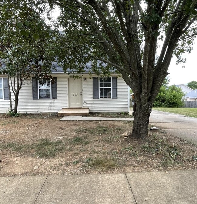 property at 203 Maple Leaf Ln