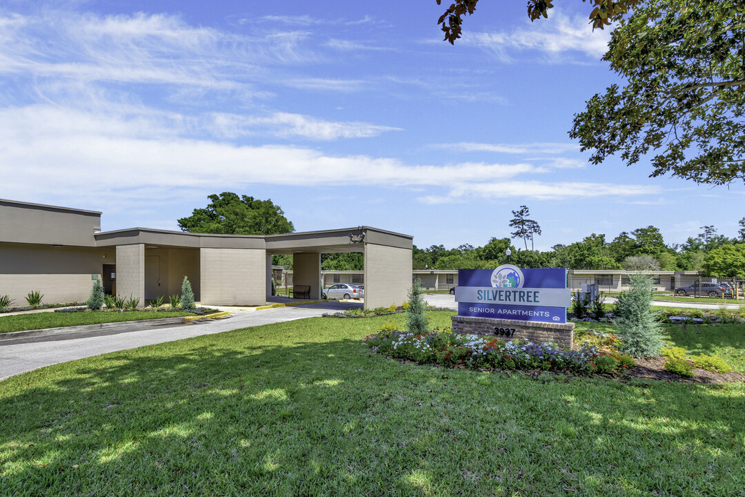 Silvertree Seniors Jacksonville in Jacksonville, FL - Building Photo