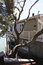 2078 Paradise Dr in Tiburon, CA - Building Photo - Building Photo