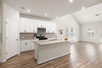 205 Durango Downs Dr in Hutto, TX - Building Photo - Building Photo